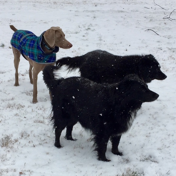 Bundle and Save! - Picture 5 of 12